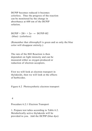 DCPlP becomes reduced it becomes
colorless. Thus the progress of the reaction
can be monitored by the change in
absorbance at 600 nm of the DCPIP
solution.
DCPIP + 2H+ + 2e- → DCPIP-H2
(blue) (colorless)
(Remember that chlorophyll is green and so only the blue
color will disappear entirely.)
The rate of the Hill Reaction is then
dependent on light intensity and can be
measured either as oxygen produced or
reduction of electron acceptors.
First we will look at electron transport in
thylakoids, then we will look at the effects
of herbicides.
Figure 6.2 Photosynthetic electron transport
4
Procedure 6.2.1 Electron Transport
1. Prepare test tubes according to Table 6.2.
Metabolically active thylakoids will be
provided to you. Add the DCPIP (blue dye)
 