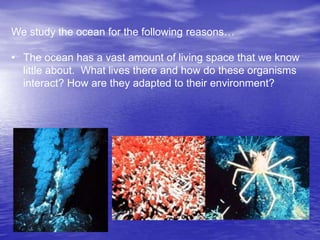 We study the ocean for the following reasons…
• The ocean has a vast amount of living space that we know
little about. What lives there and how do these organisms
interact? How are they adapted to their environment?
 