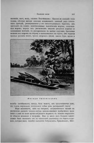 ЗіІАЧЕШЕ МОГЯ 107
названія, какъ, напр., «заливъ Покойннковъ». Произнозя пазвапіо этого
залива, мѣстные жители невольно вспоминаютъ длинный рядъ печаль-
ныхъ трагедій, разыгравшихся у его негостепріимныхъ береговъ; имъ
ириходятъ на память многочисленный человѣческія жертвы, поглощен-
ныя моремъ; передъ ихъ умствениымъ взоромъ рисуются корабли со
сломанными мачтами, съ разодранными въ клочья парусами, бросаемые
волнами изъ стороны въ сторону и выкидываемые на берегъ; имъ чудятся
грозные раскаты волнъ, трескъ якориыхъ цѣпей, свистъ бури, крики н
«Я н г а д а> б р а з и л ь ц е в ъ.
мольбы погнбающихъ; иногда, быть можетъ, имъ представляется даже,
что голоса мертвецовъ заглушаютъ собою ревъ разъяренной стихіи!
Море оказываетъ, какъ мы говорили, могущественное вліяніе на
умственное развнтіо сколько-нибудь цивилизованнаго прнбрежнаго насе-
ленія и даже въ наше время побуждаете моряковъ къ новымъ открытіямъ
въ области механики и географіи. Еще но много разъ большее вліяніс
должно было оказывать оно на обитателей удалениыхъ отъ берега остро-
вовъ, которые жили, подобно населенію Гебрндскихъ, бркнейскихъ, Шет-
 