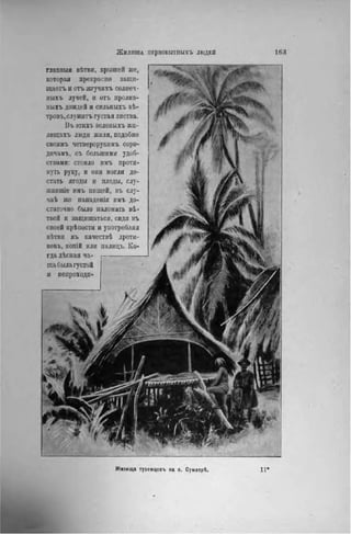 ЖИЛИЩА н Е р в о в ы т н ы х ъ ЛЮДЕЙ 1 6 3
главпыя вѣтви, крышей же,
которая нрекраспо защи-
щаете и оте жгучихъ солнеч-
иыхъ лучей, и оте иролив-
ныхъ дождей и силышхъ вѣ-
тровъ, служите густая листва.
Въ этихъ зеленыхъ ЖІІ-
лнщахъ люди ЖИЛИ, подобно
своимъ четверорукимъ соро-
дичамъ, съ большими удоб-
ствами: стоило ІІМЪ протя-
нуть руку, и они могли до-
стать ягоды н плоды, слу-
жившее имъ пищей, въ слу-
чаѣ же нападепія нмъ до-
статочно было наломать вѣ-
твей и защищаться, сидя въ
своей крѣпостн и употребляя
вѣтви въ качествѣ дроти-
ковъ, копій или палиць. Ко-
гда лѣсная ча-
ща была густой
и пепроходц-
Жилища туземцевъ на о. Суматрѣ, 11*
 