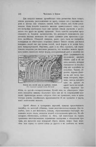 Для созданія хижины дрсвнѣйшаго типа достаточно было согнуть
стволы деревьевъ, расположенные по кругу, связать ихъ у вершинъ сво-
домъ и иногда еще обмазать глиной, чтобы сдѣлать ихъ болѣе устой-
чивыми. Лишь позднѣе появилось жилище прямоугольнаго типа,—для
его постройки необходимо было уже срубать стволы деревьевъ и распо-
лагать ихъ другъ на дружку продольно. Этогь способъ постройки пред-
ставляегь то большое преимущество, что допускаетъ возможность уве-
личивать жилище, насколько это нужно: длинные дома ирокезовъ и дру-
гихъ индѣйцевъ Сѣверной Америки, равно какъ такія же постройки,
возводимый па нѣкоторыхъ островахъ южнаго Тихаго океана для жилья
ыолодыхъ людей или для пріема гостей, иной формы и не могли быть,
какъ четырехугольной. Впрочемъ, даже и въ тѣхъ странахъ, гдѣ строи-
тельное искусство уже настолько развилось, что человѣкъ можетъ прида-
вать сзоимъ хнжипамъ любую форму, консервативный духъ и традицін не-
рѣдко удерживаютъ въ
продолжепіе многихъ
вѣковъ одни и тѣ жо
типы жилищъ, которые
передаются по наслѣд-
ству изъ поколѣнія въ
поколѣніе. Такнмъ об-
разомъ Африка дѣлит-
ся па двѣ части, гра-
ницы которыхъ, впро-
чемъ, иногда заходятъ
одна въ другую: въ
одной части мы встрѣ-
чаемъ округлыя хи-
жины, въ другой—четырехугольный. Кромѣ того, въ нЬкоторыхъ стра-
нахъ находятся хижины сводчатаго типа или же съ островерхими кры-
шами. Архитектура могилъ слѣдуетъ тѣмъ же правиламъ, какъ и архи-
тектура домовъ: покойникамъ приписываются тѣ же привычки и вкусы,
какіо свойственны жнвымъ.
Кромѣ лѣсовъ H кустарныхъ зарослей, природа предоставляетъ
человѣку, въ качествѣ убѣжища, также многочисленный пещеры. Для че-
ловѣка, какъ и для животнаго, пещера, образовавшаяся благодаря вы-
мыванію водою скалъ, является вполнѣ естественнымъ пріютомъ. Въ нѣ-
которыхъ мѣстпостяхъ, особенно въ тѣхъ, гдЬ известняки въ горахъ
пронизаны многочисленными подземными галлереями и обширными гро-
тами, все населеніе вело пещерный образъ жизни; можно было пере-
сечь всю страну съ одпого конца до другого и но замѣтить на всемъ
Хижина изъ костей кита на крайнемъ сѣверЪ.
(По старинной гравюрѣ Олафа Магнус»!
 