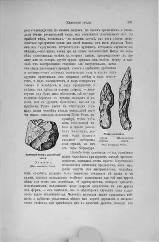 растительнояднымъ по свонмъ вкусамъ, по своннъ привычкамъ н благо-
даря обилію растительной пищи, или становился плотоядпымъ или, но
крайней мѣрѣ, всеяднымъ,—во всякомъ случаѣ, онъ могъ теперь поль-
зоваться продуктами земли для своей выгоды, опъ могъ дѣлаться Тезе-
емъ или Геркулѳсомъ, истребителемъ чудовищъ, которыхъ научился по-
бѣждать,—наступила новая эра въ жизни человѣчества! Когда же чело-
вѣкъ присоединилъ затѣмъ къ острому камню, превращенному въ па-
лицу или въ топоръ, другія орудія, придалъ имъ особую форму и сдѣ-
лалъ ихъ заостренными, гладкими или зазубренными, когда
онъ сталъ располагать пращей, лукомъ и стрѣлами, дротиками
и копьями,—онъ получилъ окончательно силу и власть падъ
другими существами: онъ одержалъ нобѣду и надъ мамон-
томъ, и надъ мастодонтомъ, и надъ пещернымъ
львомъ и меднѣдемъ, и надъ крокодиломъ и
змѣями, онъ сдѣлался царемъ природы, — недо-
ступпы ему были лишь мѣстности, гдѣ ему при-
ходилось бороться съ тучами комаровь и мо-
шекъ или съ другими безкопечно малыми су-
ществами. Точно также въ нѣкоторыхъ стра-
нахъ жизнь человѣка дѣлали немыслимой лету-
чія мыши, вампиры: колонисты Коста-Рики, на-
при мѣръ, чтобы нзбѣ-
жать собственной ги-
бели и гибели домаш-
нихъ жнвотныхъ, дол-
жны были покинуть
западное побережье
этой страны, на югъ
отъ горы Херрадура.
Первобытный каменныя орудія, нримѣняв-
Каменный топоръ шелеенской , _
э п о х и шіяся человѣкомъ при первомъ началѣ промыш-
0 з и н ш ь ленпости, появились очень просто. Научившись
(Изъ коллскши Рюто). пользоваться внѣшними предметами, какъ ору-
диями защиты или инструментами, человѣкъ,
бсвъ сомнѣнія, долженъ былъ тщательно сохранять тѣ палки и тѣ
камни, которые оказывались особенно пригодными для той или другой
цѣлн; при этомъ онъ подмѣчалъ тѣ преимущества, которыя придает,
неотдѣланнымъ, найденнымъ среди природы предметамъ та или другая
ихъ форма, — онъ замѣчалъ, что въ нѣкоторыхъ случаяхъ сила и лов-
кость удара увеличиваются. Человѣкъ научился также сравнивать гиб-
кость и крѣность различныхъ вѣтвей или корней деревьевъ и значеніе
этихъ свойствъ при прнмѣненіи ихъ въ качествѣ дротика, палицы или
Развитіе кинжала.
Эпоха Ш с л с с н с к а я
Стропи. эпоха.
(Изъ коллекціи Рюто).
 