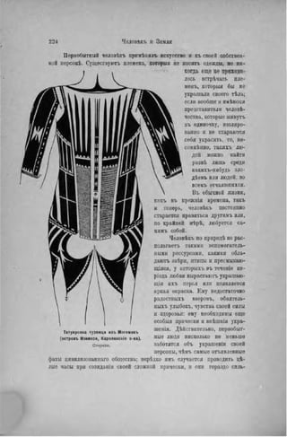 Первобытный человѣкъ примѣнядъ искусство и къ своей собствен-
ной иерсонѣ. Существуютъ племена, которыя не носятъ одежды, но ни-
когда еще не приходи-
лось встрѣчать пле-
менъ, которыя бы не
украшали своего тѣла;
если вообще и нмѣются
представители человѣ-
чества, которые живутъ
въ одиночку, изолиро-
ванно и не стараются
себя украсить, то, не-
сомненно, такихъ лю-
дей можно найти
развѣ лишь среди
какихъ-нибудь зло-
дѣевъ или людей, во
всемъ отчаявшихся.
Въ обычной жизни,
какъ въ прежнія времена, такъ
н теперь, человѣкъ постоянно
старается нравиться другимъ или,
по крайней мѣрѣ, любуется са-
мимъ собой.
Человѣкъ по природѣ не рас-
полагаетъ такими вспомогатель-
ными рессурсами, какими обла-
даютъ звѣри, птицы и пресмыкаю-
щіяся, у которыхъ въ теченіе пе-
ріода любви вырастаютъ украшаю-
щая ихъ перья или появляется
яркая окраска. Ему недостаточно
радостныхъ взоровъ, обаятель-
ных!» улыбокъ, чувства своей силы
и здоровья: ему необходимы еще
особыя прически и внѣшнія укра-
шенія. Дѣйствнтельно, первобыт-
ные люди нисколько нѳ меньше
заботятся объ украшеніи своей
персоны, чѣмъ самые отъявленные
фаты цивилнзованнаго общества; нерѣдко имъ случается проводить цѣ-
лые часы при созиданіи своей сложной прически, и они гораздо силь-
Татуировка туземца изъ Могемокъ
(островъ Мэкензи, Каролинскіе о-ва).
Спереди.
 