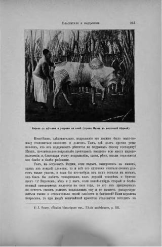 Корова съ мітками и узорами на хожѣ (страна Мазаи въ восточной АфрикЬ).
Неизбѣжно, слѣдовательно, подражаніѳ это должно было мало-по-
малу становиться закономъ и долгомъ. Тамъ, гдѣ долгъ прочно уста-
новленъ, кто изъ подданныхъ рѣшнтся не подражать своему господину?
Итакъ, почтительное подражаніе проникаетъ насквозь всю массу народо-
населепія, и, благодаря этому подражанію, слова, рѣчи, мысли становятся
все болѣе н болѣе рабскими.
Такъ, на островахъ Фиджи, если падалъ, запнувшись за камень,
одинъ изъ вождей племени, то и всѣ его спутники считали своимъ дол-
гомъ также упасть, и если бы кто-нибудь изъ нихъ остался на ногахъ,
онъ былъ бы побить товарищами, какъ дерзкій человѣкъ и бунтов-
іцикъ і)І Впрочемъ, вѣдь и у насъ, если какой-нибудь старый и болѣз-
ненный самодержецъ жалуется на свои года, то кто пзъ придворныхъ
не сочтегъ своимъ долгомъ поддакивать ему п не начнетъ распростра-
няться также и относительно своей слабости и болѣзпей? Если королева
некрасива, то при дворѣ величайшей красотою становится походить на
1) J. Soury, cÉtades historiques sur... l'Asie antérieure», p. 321.
 