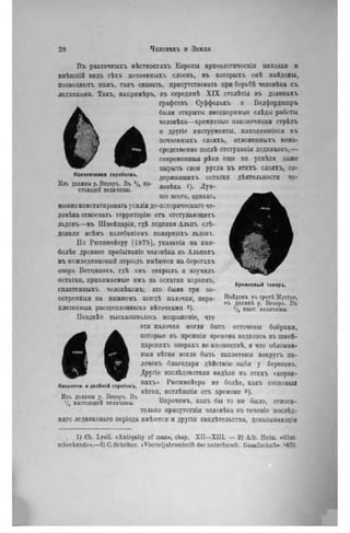 Наконечники скребковъ.
Изъ долины р. Вѳзаръ. Въ '/« на-
стоящеП величины.
Въ различныхъ мѣстиостяхъ Европы археологическія находки и
внѣшній видь тѣхъ ночвенныхъ слоевъ, въ которыхъ онѣ найдены,
позволяютъ намъ, такъ сказать, присутствовать при борьбѣ человѣка съ
ледниками. Такъ, наиримѣръ, въ серединѣ X I X столѣтія въ долішахъ
графствъ Суффолькъ и Бедфордшпръ
были открыты неоспоримые слѣды работы
человѣка—кремневые наконечники стрѣлъ
и другіе инструменты, находившіеся въ
почвешшхъ слояхъ, отложенныхъ непо-
средственно послѣ отступанія ледпиковъ,—
современный рѣки еще не успѣли даже
вырыть свои русла въ этихъ слояхъ, со-
державших!. остатки дѣятельности че-
ловѣка >)• Луч-
шо всего, однако,
можно констатировать усилія до-историческаго че-
ловѣка отвоевать территорію отъ отступающих!,
льдовъ—въ Швейцаріи, гдѣ ледники Альпъ слѣ-
дозали всѣмъ колебаніямъ полярныхъ льдовъ.
По Рютимейеру [1875], указанія на наи-
болѣе древнее нребываніе человѣка въ Альпахъ
въ межледниковый періодъ имѣются на берегахъ
озера Ветпиконь, гдѣ онъ открылъ н изучнлъ
остатки, принимаемые имъ за остатки корзинъ,
сплетеиныхъ человѣкомъ; это были три за-
остренный на ннжнемъ концѣ палочки, пере-
плетенныя расщепленными вѣточкамн
Позднѣе высказывалось возраженіе, что
эти палочки могли быть отточены бобрами,
которые въ прежнія времена водились въ швей-
царскихъ озерахъ во множествѣ, и что обломан-
ный вѣтвн могли быть заплетены вокругъ па-
лочекъ благодаря дѣйствію зыби у береговъ.
Другіе изслѣдователи видѣли въ этихъ «корзи-
Н.коТечн. и двойной с Т ^ о к ъ . И а Х Ъ > Р Ю Т И И Е Й Е Р А НѲ бОЛѣв, КаКЪ СОСНОВЫЙ
„ вѣтви, истлѣвшія отъ времени з).
Изъ долины р. Везэръ. Въ „ , ,
'/, настоящей величины. Впрочемъ, какъ бы то ни было, относи-
тельно присутствия человѣка въ теченіе послѣд-
няго ледниковаго неріода имѣются и другія свидѣтельства, доказывающія
Кремневый топоръ.
Найденъ въ rporb Мустье,
въ долинѣ р. Везэръ. Въ
V, паст, величины.
1) Ch. Lyell. «Antiquity of man», chap. X I I — X I I I . — 2) Alb. Heim. «Glet-
scherkunde».—3) C. Schröter. «Vierteljahrsschrift der natnrforsch. Gesellschaft* wj76.
 