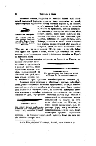 Крючокъ дая ломи рыбы.
Изъ оленьяго рога, ко-
нсцъ котораго былъ ело-
манъ. Изъ Ложери (долп-
на р. Ве эръ). Въ2/» наст,
величины.
Различные остатки, найденные въ нижнпхъ слояхъ такъ назы-
ваемой пампенской формаціи, относятся даже, невидимому, къ эпохѣ,
предшествующей ледниковому періоду западной Европы, и, во всякомъ
случаѣ, являются болѣе древними, по сравиенію
съ такими же предметами, которые изслѣдова-
тели находили до сихъ поръ въ различныхъ мѣст-
ностяхъ Европы. Точно также кажется не под-
лежащимъ сомнѣнію, что два коренныхъ зуба
чсловѣка, найденные въ слояхъ Таубаха, близь
Веймара, относятся къ ѳпохѣ конца пліоцено-
ваго періода, предшествующей вѣку мамонта я
сѣвернаго оленя, — эпохѣ ископаемаго слона
(El ер h as an t i qu a s) и носорога ( R h i n o c é r o s m e r c k i i ) . Слѣды
огня, орудія изъ кремня и кости, остатки ѣды, состоящіо изъ костеИ.
животпыхъ, свидѣтельствуютъ также о существованіи человѣка въ Европѣ
въ третичную эпоху.
Другіе остатки человѣка, найденные въ Крапинѣ въ Кроаціи, по-
зволили археологамъ выска-
зать также и предноложенія
о природѣ человѣка этихъ
отдаленцыхъ времснъ: чело-
вѣкъ, принадлежавшій къ
обитавшей тамърасѣ, обла-
далъ зубами, которые силь-
но напоминали зубы крупныхъ человѣкообразныхъ обезьянъ .
Благодаря этимъ остаткамъ и нѣкоторымъ другимъ, пайденнымъ
ранѣе, учоные снеціалисты высказали предположеніе, что людей палеоли-
тической эпохи слѣдуетъ раздѣлить на нѣсколько расъ Самая древняя
раса, называемая «неандертальской», по мѣстности нахожденія остат-
ковъ ископаемаго человѣка, отличаетоя значительнымъ выступаніемъ
иадбровныхъ дугъ, образующихъ настоящіе навѣсы надъ глазами, и
значительной сплющенностью черепа,
указывающей на сходство съ круп-
ными обезьянами: по Швальбе, ее
можно скорѣе разематривать какъ пе-
Наконечники стрѣлъ.
Изъ оленьего рога. Изъ Ложери въ долнні
р. Везэръ. Въ V. настоящей величины
Наконечнхкъ стрѣлы.
Изъ оленьяго рога, съ надрѣзомъ для реходную форму между человѣкомъ и
вставленія. Изъ Ложорн въдолинѣ p. J л r J J
Везэрь. і;ъѴі настоящей величины, антропопитекомъ, нежели какъ форму,
являющуюся предкомъ современная
человѣка, — въ генеалогическомъ древѣ высшихъ формъ эта раса ско-
рѣе образуетъ особую вѣтвь.
1) Alb. Heim, Gorjanoric'-Kraraberger, Klaatscb, Moriz Hoemes и др.
 