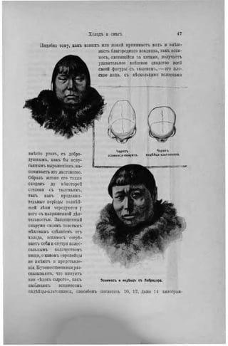 Подобно тому, какъ конюхъ или жокѳй принимаете видъ и внѣш-
ность благороднаго всадинка, такъ эски-
мосъ, охотящійсл за китами, получаете
удивительное внѣншѳѳ сходство всей
своей фигуры съ тюленем і., — его пло-
ское лицо, съ нѣсколькими волосками
вмѣсто усовъ, съ добро-
душнымъ, какъ бы испу-
ганными выражепіемъ, на-
поминаете это ластоногое.
Образъ жизни его также
сходенъ ÄQ нѣкоторой
степени съ тюленьимъ,
такъ какъ продолжи-
тельные періоды полнѣй-
піей лѣни чередуются у
него съ напряженной дѣя-
тельностью. Защищенный
снаружи своимъ толсгымъ
мѣховымъ одѣяніемъ отъ
холода, вскнмосъ согрѣ-
ваетъ себя и снутри колос-
сальнымъ колнчествомъ
пищи, о какомъ европейцы
не имѣютъ и представле-
нія Путешественники раз-
сказывають, что нниуитъ
или <ѣдокъ сырого», какъ
называютъ эскимосовъ
индѣйцы-альгонкины, способенъ
Черепъ
эскимоса-иннуита
Черепъ
иидѣйца-альгонкина.
Эсхииосъ и индѣецъ съ Лабрадора.
поглотить 10, 12, даже 14 кнлограм-
 