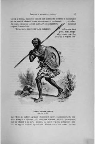 сферы и почвы, являются страны, гдѣ влажность воздуха н чрезмѣрнос
обиліе дождей дѣлаюгь почти невозможнымъ пребываніе человѣка.
Въ этомъ отпошеніи особый контрастъ нредставляетъ западная
сторона ІІоваго Свѣта.
Тогда какъ нѣкоторыя части западнаго J p r побережья Аме-
рики, какъ, напри-
мѣръ, полуостровъ Ка-
лифорнія и берега юж-
Туземецъ племени данакиль.
(Къ стр. 54—56).
наго Перу, не нмѣютъ другихъ обитателей, кромѣ золотоискателей, лов-
цовъ жемчуга и купцовъ, двѣ обильныя дождями области, расположен-
ный на сѣверѣ и па югѣ,—именпо, съ одпой стороны, побережье Аля-
ски, съ другой, острова архипелага Хоносъ,—остались также пустын-
 