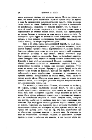 ваютъ веревками, свитыми изъ волоконъ пальмъ. Когда наступаетъ раз-
ливъ, вся такая дорога подымается водою съ одного конца до другого
и какъ бы превращается въ плоть; когда вода падаетъ, стволы деревьевъ
снова ложатся на землю. Замѣчаются также странности и по отношенію
къ покойникамъ,—гуараносы не желаютъ хоронить ихъ въ жидкой бо-
лотистой почвѣ и потому покрываютъ ихъ толстымъ слоемъ глины и
подвѣшиваюгь къ вѣтвямъ вблизи своихъ хижинъ или привязываютъ
къ своимъ баржамъ и таскаютъ за ними вверхъ и внизъ по рѣкѣ. Въ
послѣднсмъ случаѣ трупъ въ нѣсколько часовъ совершенно объѣдается
рыбами, и тогда останки родственниковъ благоговѣйно укладываются въ
особую корзину, служащую погребальной урной.
Даже и въ столь высоко цивилизованной Бвропѣ, въ средѣ совер-
шенно проникнутая современпымъ духомъ городского населенія, сохра-
няются перѣдко странные обычаи, выработавшіеся въ прежнія времена,
благодаря вліянію среды,—они до сихъ поръ находятъ себѣ оправданіе
въ мѣстныхъ условіяхъ и, надо сказать, сильно измѣнились подъ
благотворнымъ вліяніѳмъ цнвилизаціи. Такъ, въ ближайшихъ окрестно-
стяхъ Гамбурга—этого перваго по своему значенію коммерческая порта
Германіи и даже всей континентальной Европы—огородники и земле-
дѣльцы, работающіе на поляхъ по низменнымъ берегамъ Эльбы, для
передвиженія пользуются и теперь еще высокими ходулями. Точно
также къ западу отъ острова Нуармутье (у устья Луары) другіе оби-
татели болотъ живутъ въ хижинахъ, которыя они строятъ изъ глины,
смѣшанной съ мелко изрубленнымъ тростникомъ, и покрываютъ- ихъ
пучками ситника, чередующимися со слоями глины, чтобы крышу не
унесли морскіе вѣтры. Обитатели этихъ хижинъ также не могутъ пере-
двигаться иначе, какъ пользуясь длинпымн жердями, которые помогаютъ
имъ перепрыгивать черезъ рвы.
Что касается до ландескотовъ Гаскони, обитающихъ по сосѣдству
съ озерами, которыя окаймляютъ морской берегъ, то они во время
ходьбы представляютъ, положительно, единственное въ своемъ родѣзрѣ-
лище, такъ какъ пользуются ходулями иногда вышиною до двухъ ме-
тровъ. Среди луговъ, усѣянныхъ лужами воды и болотами, имъ прямо не
было бы возможности слѣдовать за своими стадами овецъ, которыми
онн живутъ, еслибы они не снабжали свои ноги этими курьезными под-
ставками. При впдѣ группы такихъ идущихъ на ходуляхъ ландовъ, прямо
но можешь удержаться отъ выраженія своего изумленія! Закутанные въ
свои овчинныя одѣянія, они шествуютъ медленно, причемъ вяжутъ на ходу
чулокъ или крутятъ нитки ("рис. на стр. 67); такъ подвигаются они
по обширнымъ зарослямъ камыша и ситника, какъ бы нолучивъ ка-
кимъ-то волшебствомъ способность скользить по верхушкамъ растеній;
зритель не можетъ выбраться изъ камыша, а онн свободно идутъ впе-
 