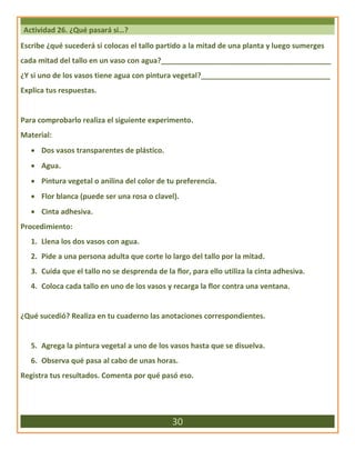 Actividad 26. ¿Qué pasará si…?
Escribe ¿qué sucederá si colocas el tallo partido a la mitad de una planta y luego sumerges
cada mitad del tallo en un vaso con agua?__________________________________________
¿Y si uno de los vasos tiene agua con pintura vegetal?________________________________
Explica tus respuestas.
Para comprobarlo realiza el siguiente experimento.
Material:
 Dos vasos transparentes de plástico.
 Agua.
 Pintura vegetal o anilina del color de tu preferencia.
 Flor blanca (puede ser una rosa o clavel).
 Cinta adhesiva.
Procedimiento:
1. Llena los dos vasos con agua.
2. Pide a una persona adulta que corte lo largo del tallo por la mitad.
3. Cuida que el tallo no se desprenda de la flor, para ello utiliza la cinta adhesiva.
4. Coloca cada tallo en uno de los vasos y recarga la flor contra una ventana.
¿Qué sucedió? Realiza en tu cuaderno las anotaciones correspondientes.
5. Agrega la pintura vegetal a uno de los vasos hasta que se disuelva.
6. Observa qué pasa al cabo de unas horas.
Registra tus resultados. Comenta por qué pasó eso.
30
 