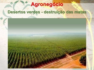 Agronegócio
Desertos verdes - destruição das matas
 