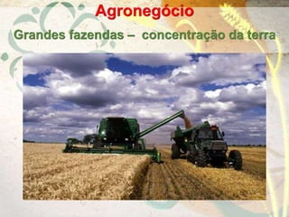 Agronegócio
Grandes fazendas – concentração da terra
 