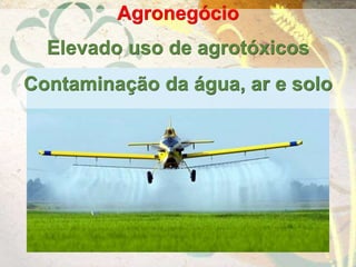 Agronegócio
Elevado uso de agrotóxicos
Contaminação da água, ar e solo
 