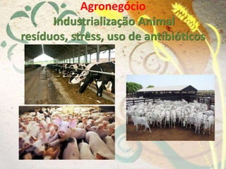 Agronegócio
Industrialização Animal
resíduos, stress, uso de antibióticos
 