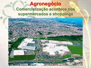 Agronegócio
Comercialização acontece nos
supermercados e shoppings
 
