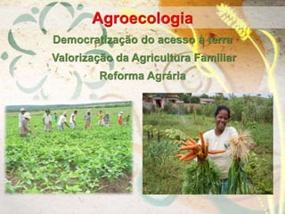 Democratização do acesso à terra
Valorização da Agricultura Familiar
Reforma Agrária
Agroecologia
 