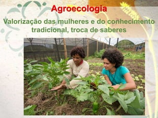 Agroecologia
Valorização das mulheres e do conhecimento
tradicional, troca de saberes
 
