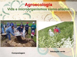 Agroecologia
Vida e microorganismos como aliados
Adubação verde
Compostagem
 