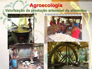 Agroecologia
Valorização da produção artesanal de alimentos
 