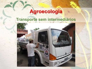 Agroecologia
Transporte sem intermediários
 