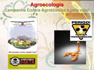 Agroecologia
Campanha Contra Agrotóxicos e pela vida!
 