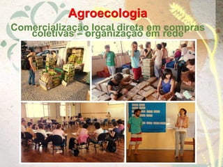 Agroecologia
Comercialização local direta em compras
coletivas – organização em rede
 