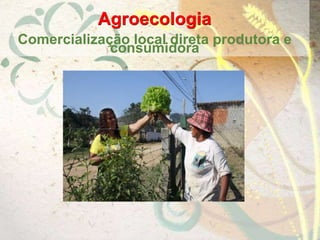 Agroecologia
Comercialização local direta produtora e
consumidora
 