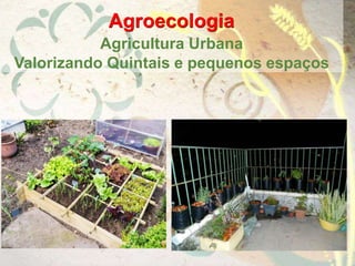 Agroecologia
Agricultura Urbana
Valorizando Quintais e pequenos espaços
 