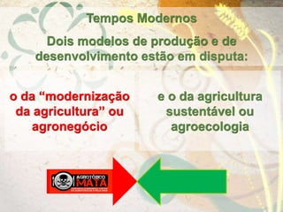 Tempos Modernos
Dois modelos de produção e de
desenvolvimento estão em disputa:
o da “modernização
da agricultura” ou
agronegócio
e o da agricultura
sustentável ou
agroecologia
 