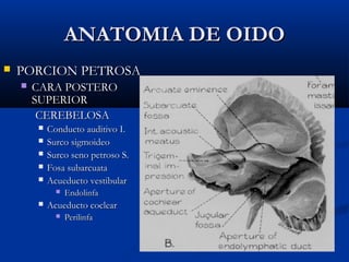 ANATOMIA DE OIDOANATOMIA DE OIDO
 PORCION PETROSAPORCION PETROSA
 CARA POSTEROCARA POSTERO
SUPERIORSUPERIOR
CEREBELOSACEREBELOSA
 Conducto auditivo I.Conducto auditivo I.
 Surco sigmoideoSurco sigmoideo
 Surco seno petroso S.Surco seno petroso S.
 Fosa subarcuataFosa subarcuata
 Acueducto vestibularAcueducto vestibular
 EndolinfaEndolinfa
 Acueducto coclearAcueducto coclear
 PerilinfaPerilinfa
 
