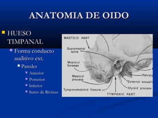 ANATOMIA DE OIDOANATOMIA DE OIDO
 HUESOHUESO
TIMPANALTIMPANAL
 Forma conductoForma conducto
auditivo ext.auditivo ext.
 ParedesParedes
 AnteriorAnterior
 PosteriorPosterior
 InferiorInferior
 Surco de RivinusSurco de Rivinus
 
