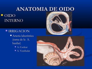 ANATOMIA DE OIDOANATOMIA DE OIDO
 OIDOOIDO
INTERNOINTERNO
 IRRIGACIONIRRIGACION
 Arteria laberínticaArteria laberíntica
(rama de la A.(rama de la A.
basilar)basilar)
 A. CoclearA. Coclear
 A. VestibularA. Vestibular
 