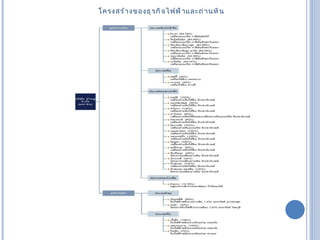 โครงสร้างྺองธุรกิจไฟฟ้าและถ่านหิน 