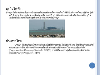 ธุรกิจไฟฟ้า บ้านปูฯ มีประสบการณ์อย่างกว้างขวางในการพัฒนาโครงการโรงไฟฟ้าในประเทศไทย บริษัทฯ มุ่งที่จะใช้   ความชำนาญดังกล่าวเพื่อพัฒนาโครงการโรงไฟฟ้าพลังงานถ่านหินในประเทศอื่น ๆ ในเอเชียเพื่อให้สอดคล้องกับธุรกิจเหมืองถ่านหินของบ้านปูฯ ประเทศไทย บ้านปูฯ เป็นผู้บุกเบิกโครงการพัฒนาโรงไฟฟ้าเอกชน ในประเทศไทย โดยเป็นบริษัทแรกที่ตอบสนองการเปิดเสรีภาคพลังงานของไทยด้วยการตั้งบริษัท เดอะ  โคเจเนอเรชั่น จำกัด  ( Cogeneration CompanyLimited - COCO)  ภายใต้โครงการผู้ผลิตกระแสไฟฟ้ารายย่อย  ( Small Power Producer - SPP)   