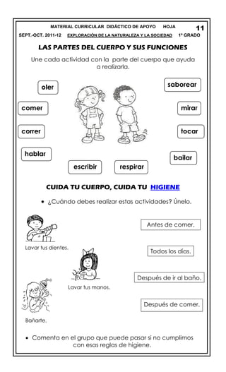 MATERIAL CURRICULAR DIDÁCTICO DE APOYO HOJA
SEPT.-OCT. 2011-12 EXPLORACIÓN DE LA NATURALEZA Y LA SOCIEDAD 1º GRADO
LAS PARTES DEL CUERPO Y SUS FUNCIONES
Une cada actividad con la parte del cuerpo que ayuda
a realizarla.
CUIDA TU CUERPO, CUIDA TU HIGIENE
¿Cuándo debes realizar estas actividades? Únelo.
Comenta en el grupo que puede pasar si no cumplimos
con esas reglas de higiene.
comer
escribir respirar
hablar
tocar
mirar
oler
bailar
correr
saborear
Después de comer.
Antes de comer.
Todos los días.
Lavar tus dientes.
Lavar tus manos.
Bañarte.
Después de ir al baño.
11
 