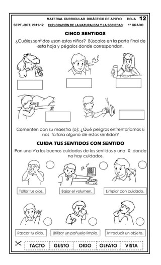 MATERIAL CURRICULAR DIDÁCTICO DE APOYO HOJA
SEPT.-OCT. 2011-12 EXPLORACIÓN DE LA NATURALEZA Y LA SOCIEDAD 1º GRADO
CINCO SENTIDOS
¿Cuáles sentidos usan estos niños? Búscalos en la parte final de
esta hoja y pégalos donde correspondan.
Comenten con su maestra (o): ¿Qué peligros enfrentaríamos si
nos faltara alguno de estos sentidos?
CUIDA TUS SENTIDOS CON SENTIDO
Pon una a los buenos cuidados de los sentidos y una X donde
no hay cuidados.
12
Bajar el volumen.Tallar tus ojos. Limpiar con cuidado.
Utilizar un pañuelo limpio.Rascar tu oído. Introducir un objeto.
TACTO OIDO VISTAOLFATOGUSTO
 