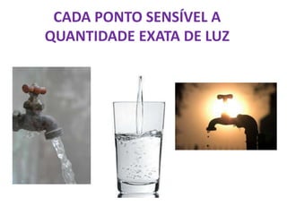 CADA PONTO SENSÍVEL A
QUANTIDADE EXATA DE LUZ
 