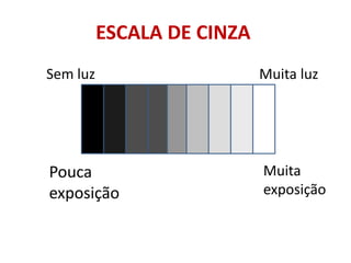 ESCALA DE CINZA
Sem luz                     Muita luz




Pouca                       Muita
exposição                   exposição
 