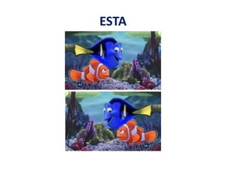 ESTA
 