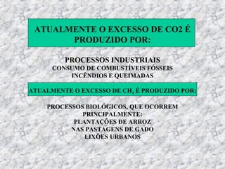 ATUALMENTE O EXCESSO DE CO2 É
       PRODUZIDO POR:

         PROCESSOS INDUSTRIAIS
      CONSUMO DE COMBUSTÍVEIS FÓSSEIS
          INCÊNDIOS E QUEIMADAS

ATUALMENTE O EXCESSO DE CH4 É PRODUZIDO POR:

    PROCESSOS BIOLÓGICOS, QUE OCORREM
             PRINCIPALMENTE:
           PLANTAÇÕES DE ARROZ
          NAS PASTAGENS DE GADO
              LIXÕES URBANOS
 