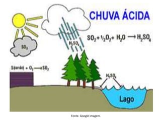 Fonte. Google imagem.
 