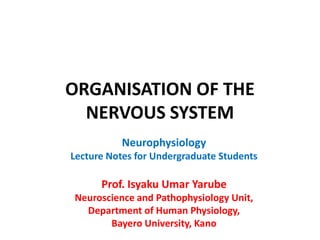 1_ Organisation of the Nervous System-1.pdf