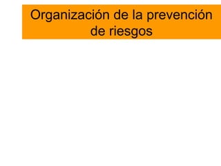 Organización de la prevención
de riesgos
 