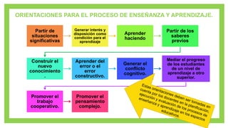 ORIENTACIONES PEDAGÓGICAS PARA EL DESARROLLO DE COMPETECNIAS | PDF