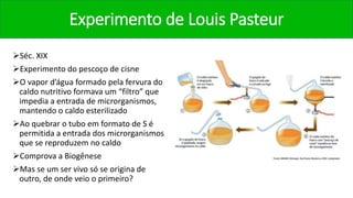 Experimento de Louis Pasteur
Séc. XIX
Experimento do pescoço de cisne
O vapor d’água formado pela fervura do
caldo nutritivo formava um “filtro” que
impedia a entrada de microrganismos,
mantendo o caldo esterilizado
Ao quebrar o tubo em formato de S é
permitida a entrada dos microrganismos
que se reproduzem no caldo
Comprova a Biogênese
Mas se um ser vivo só se origina de
outro, de onde veio o primeiro?
 