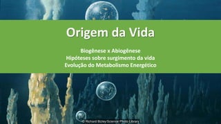 Origem da Vida
Biogênese x Abiogênese
Hipóteses sobre surgimento da vida
Evolução do Metabolismo Energético
 