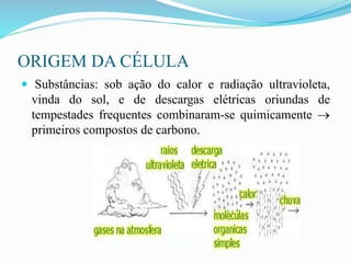 ORIGEM DA CÉLULA
 Substâncias: sob ação do calor e radiação ultravioleta,
vinda do sol, e de descargas elétricas oriundas de
tempestades frequentes combinaram-se quimicamente 
primeiros compostos de carbono.
 