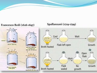 Francesco Redi (1626-1697) Spallanzani (1729-1799)
 