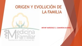 ORIGEN Y EVOLUCIÓN DE
LA FAMILIA
MR1MF MARICRUZ C. CAMARENA ALVAREZ
 