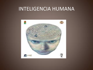 INTELIGENCIA HUMANA
 